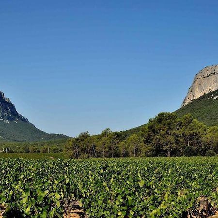Gite Du Pic Saint Loup Valflaunes Bagian luar foto